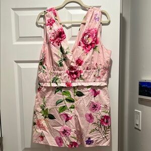 Express Pink Floral Jumpsuit